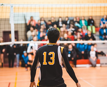 Final four de la coupe de France de volley ball