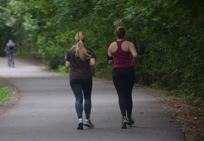 L’organisme et l’équilibre de fonctions physiologiques.