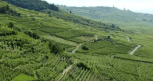 agriculture en montagne