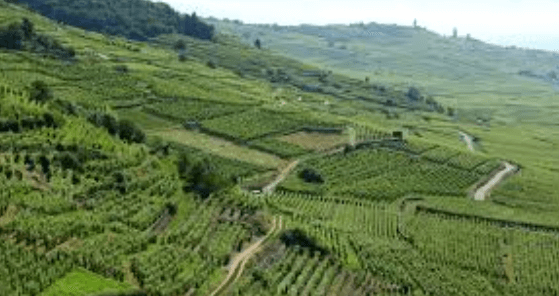 Comment naissent les volcans.